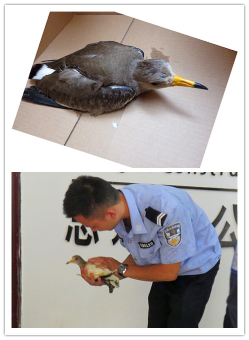 BG����(����)Ψһ�ٷ���վ